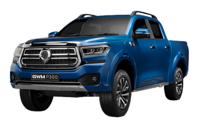 GWM P300